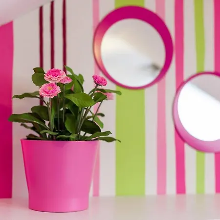 2 D'hote Proche Lille Gare Bed and breakfast *